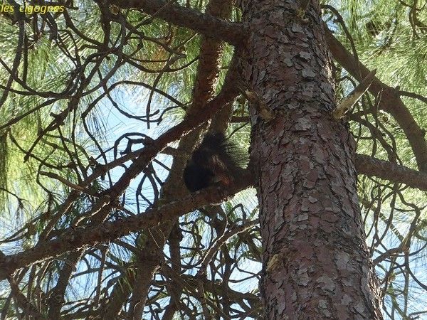 Couple nu plage wallpaper 3