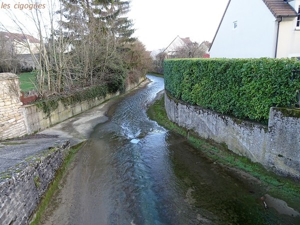 Sexe entre les seins wallpaper 5