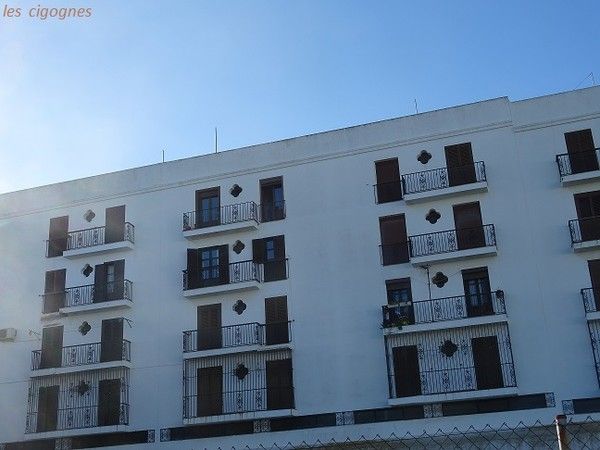 Bouche pleine de sperme wallpaper 4