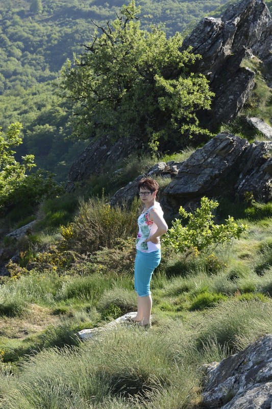 LA SALVETAT SUR AGOUT 2015